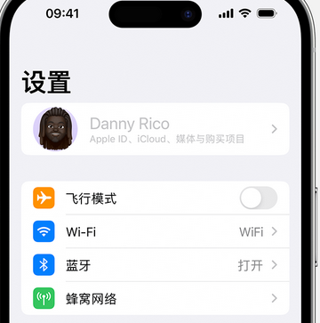 合肥appleID维修服务iPhone设置中Apple ID显示为灰色无法使用 