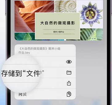 合肥apple维修中心分享iPhone文件应用中存储和找到下载文件