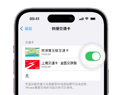 合肥apple维修点分享iPhone上更换Apple Pay快捷交通卡手绘卡面 