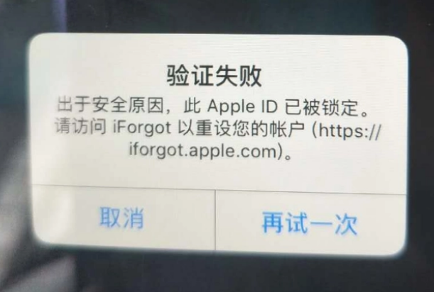 合肥iPhone维修分享iPhone上正常登录或使用AppleID怎么办 