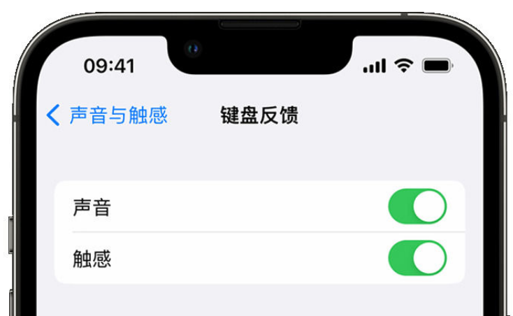 合肥苹果手机维修分享iPhone 14触感键盘使用方法 