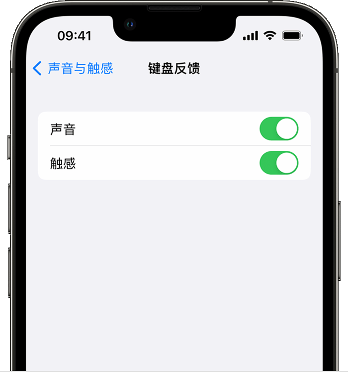 合肥苹果14维修店分享如何在 iPhone 14 机型中使用触感键盘 