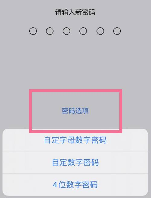 合肥苹果14维修分享iPhone 14plus设置密码的方法 