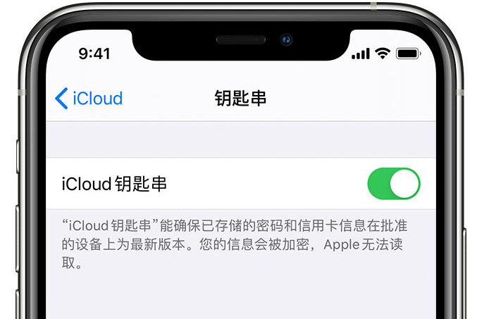 合肥苹果手机维修分享在 iPhone 上开启 iCloud 钥匙串之后会储存哪些信息 