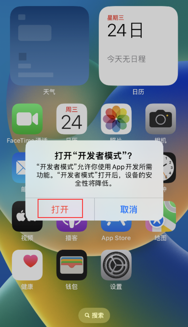 合肥苹果手机维修分享如何打开开发者模式 