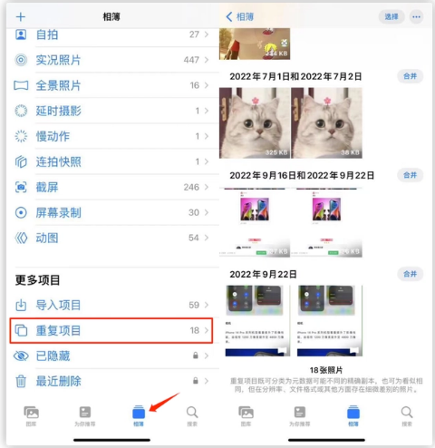 合肥苹果手机维修分享iOS 16 中相册重复项目功能使用方法 