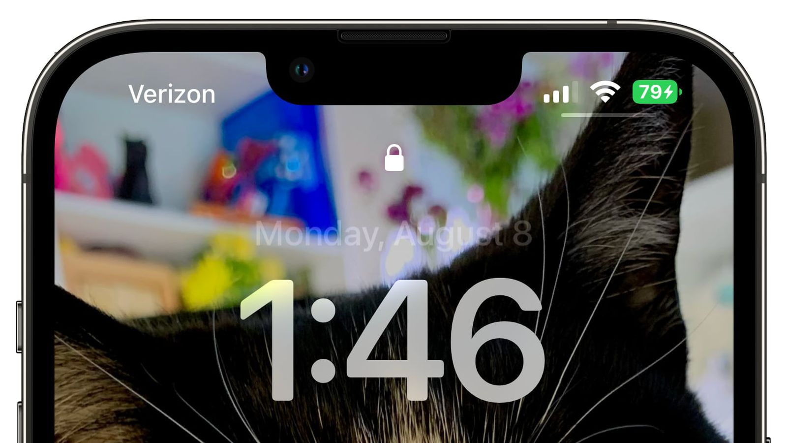 合肥苹果手机维修分享iOS 16 beta 5 支持状态栏显示电池百分比，如何开启？支持哪些机型 