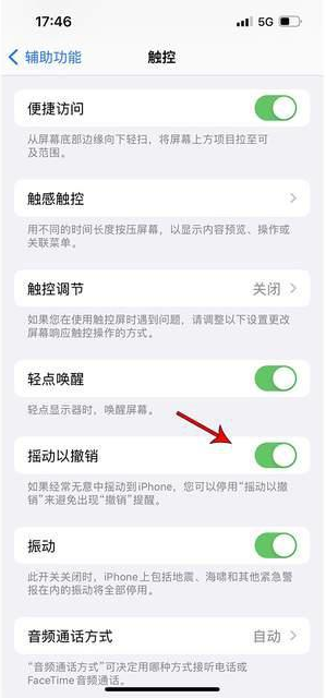 合肥苹果手机维修分享iPhone手机如何设置摇一摇删除文字 