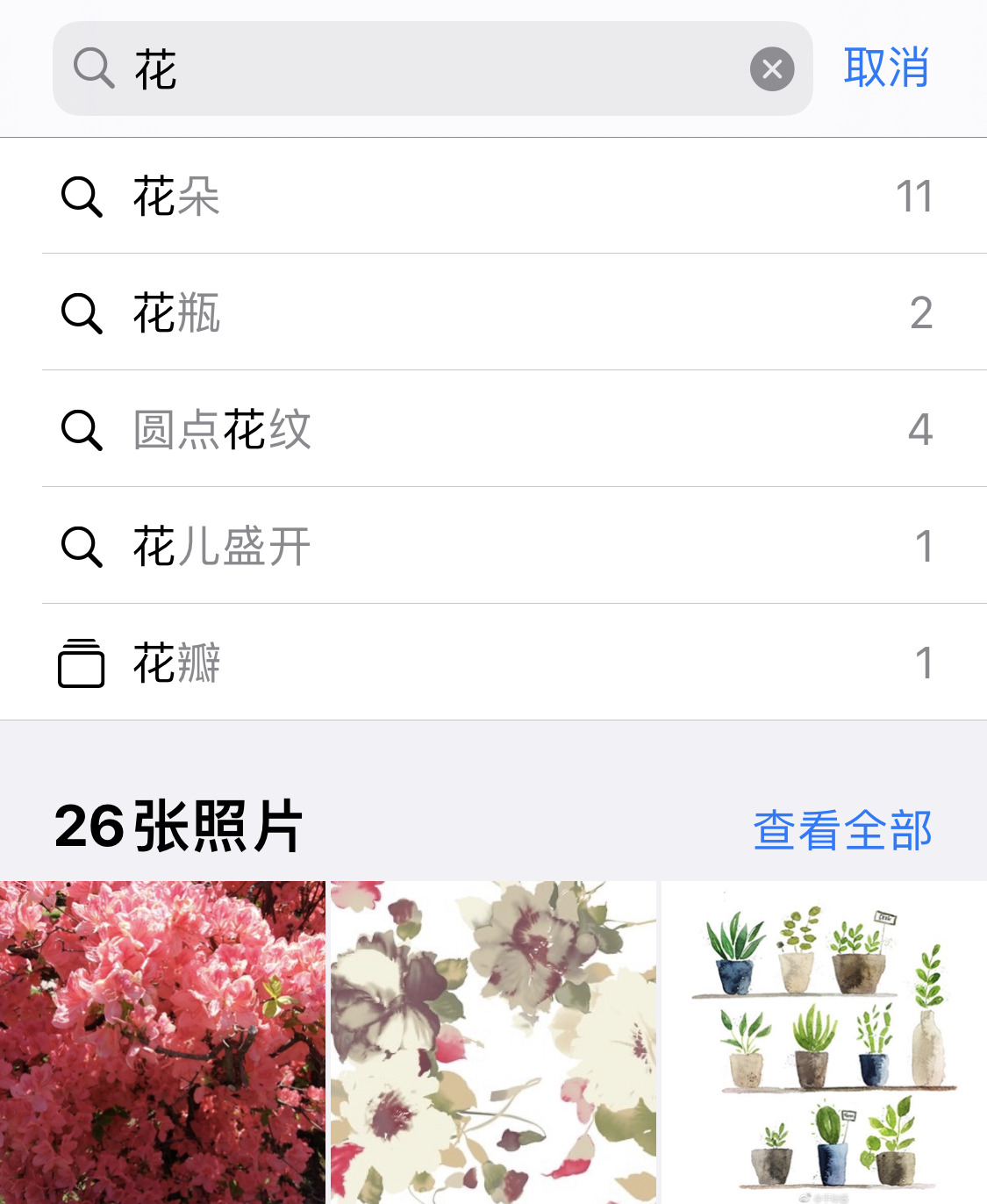 合肥苹果手机维修分享iPhone 小技巧 