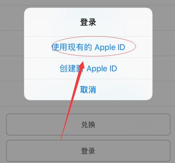合肥苹果手机维修分享两台iPhone设备可以同时登录一个Apple ID吗 