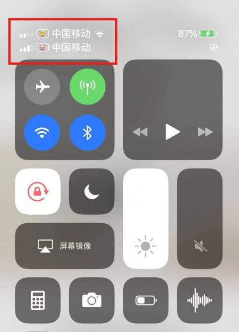 合肥苹果手机维修分享为 iPhone 12 双卡设置标签 