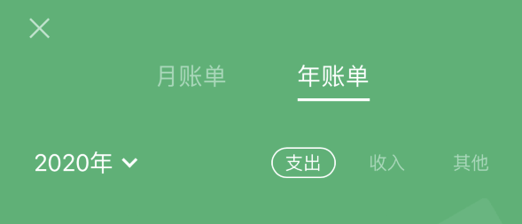 合肥苹果手机维修分享如何在 iPhone 上查看支付宝和微信年支出账单 